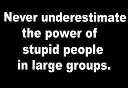 0a_the_power_of_stupid_people